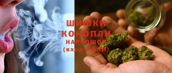 PSILOCYBIN Алзамай