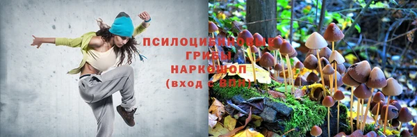 шишки Нягань