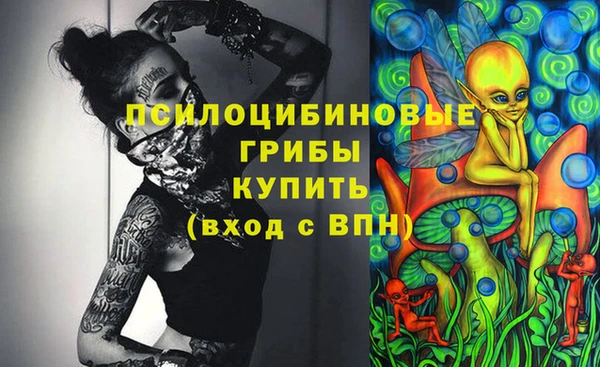 метамфетамин Алексеевка